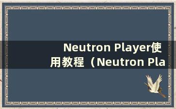 Neutron Player使用教程（Neutron Player 2.15.5）